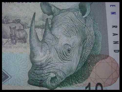 南非动物纸币——收藏首选