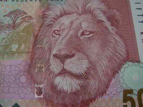 南非兰特——非洲象 南非兰特——非洲象