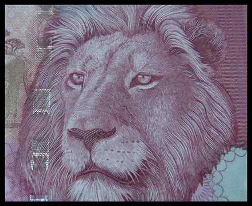 南非动物纸币——收藏首选