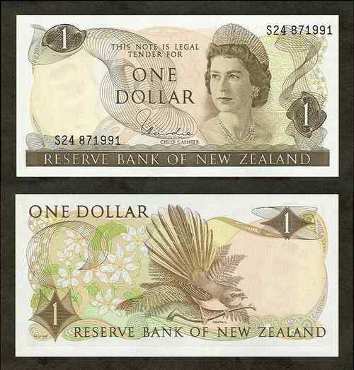 新西兰——灰扇尾鹟（wēng）