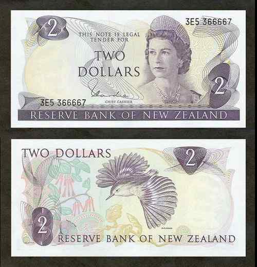 新西兰刺鹩(liáo)