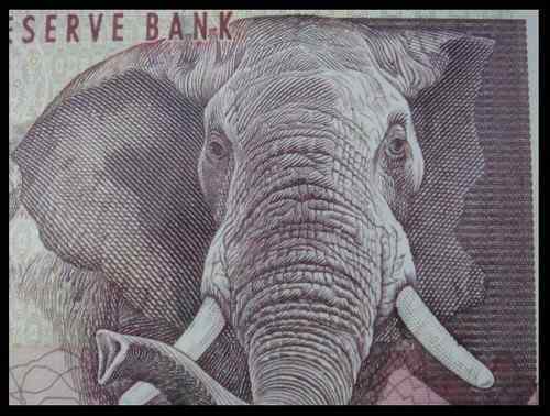 南非动物纸币——收藏首选