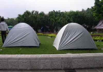 5.12大地震中的小雏鸟及地震记事（五）