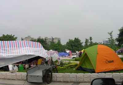 5.12大地震中的小雏鸟及地震记事（五）
