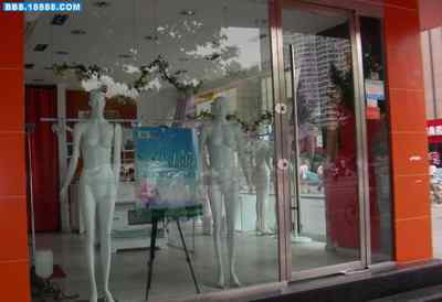 5.12大地震中的小雏鸟及地震记事（十一）