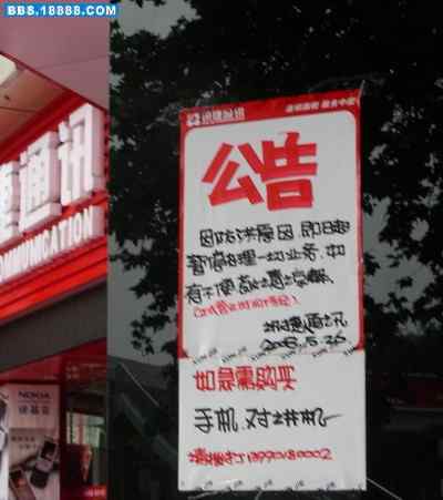 5.12大地震中的小雏鸟及地震记事（十一）