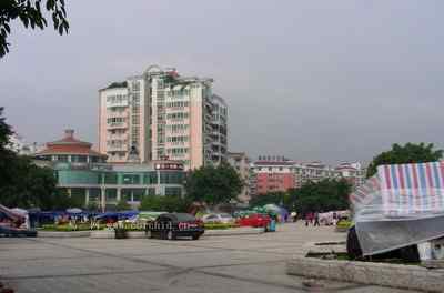 5.12大地震中的小雏鸟及地震记事(五)