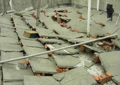 5.12大地震中的小雏鸟及地震记事（七）