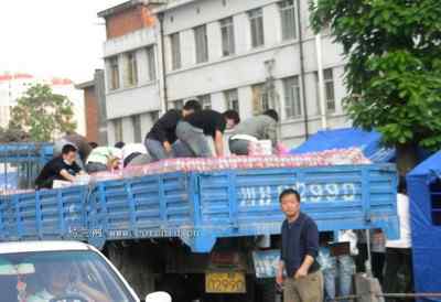 5.12大地震中的小雏鸟及地震记事（五）