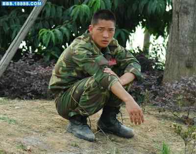 5.12大地震中的小雏鸟及地震记事(十六) 5.12大地震中的小雏鸟及地震记事(十六)