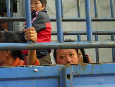 5.12大地震中的小雏鸟及地震记事（五）