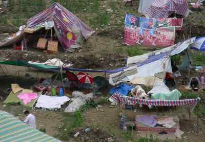 5.12大地震中的小雏鸟及地震记事（五）