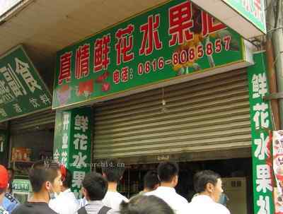 5.12大地震中的小雏鸟及地震记事（六）