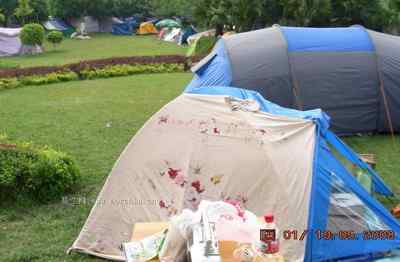 5.12大地震中的小雏鸟及地震记事(八)