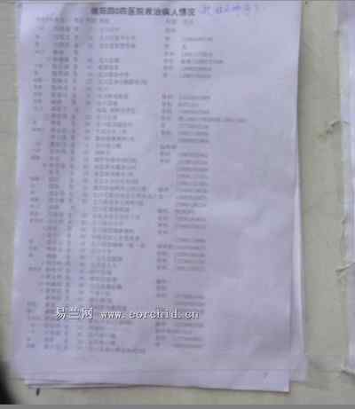 5.12大地震中的小雏鸟及地震记事（五）