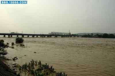 5.12大地震中的小雏鸟及地震记事(十六) 5.12大地震中的小雏鸟及地震记事(十六)