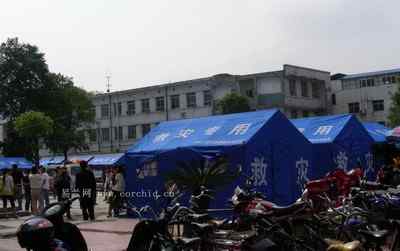 5.12大地震中的小雏鸟及地震记事（五）