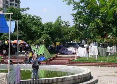 5.12大地震中的小雏鸟及地震记事（四）