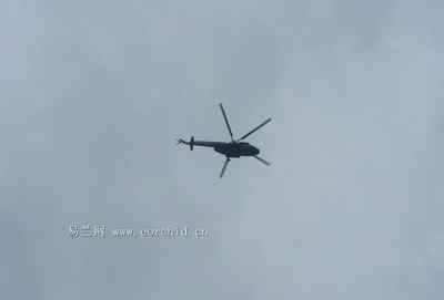 5.12大地震中的小雏鸟及地震记事（四）