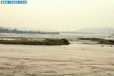 5.12大地震中的小雏鸟及地震记事(十六) 5.12大地震中的小雏鸟及地震记事(十六)