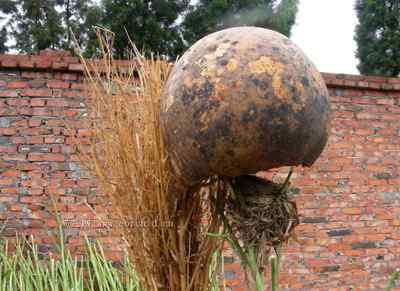 5.12大地震中的小雏鸟及地震记事（四）