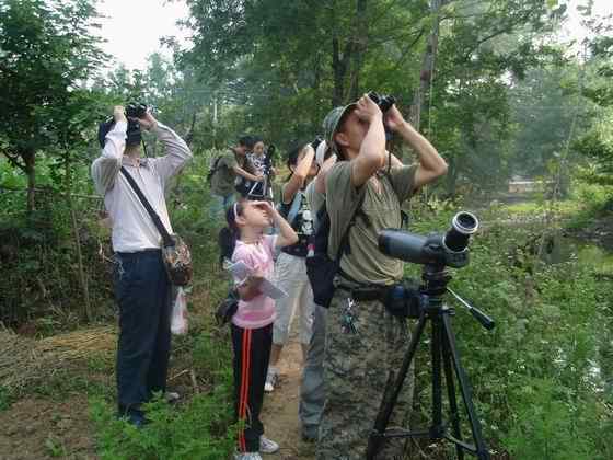 观鸟要从娃娃抓起——湖北第一部鸟类校本教材《观鸟》