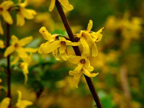 鸟路风景 东湖观鸟