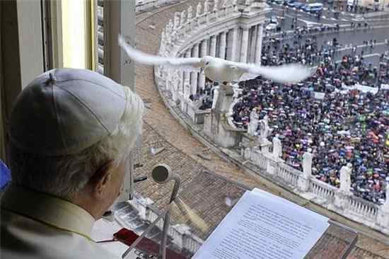 让人抓狂的鸟类