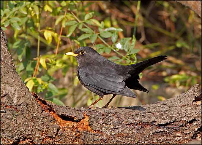 原来身边有这么多可爱的小精灵！