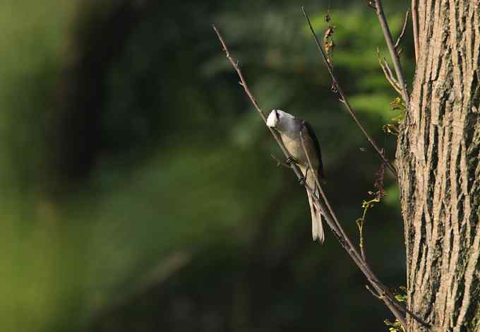 在世俗与自然之间穿行