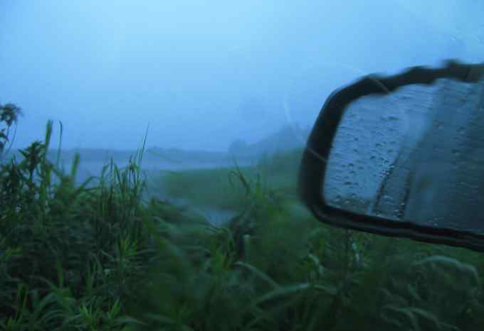 小小翠鸟,哥俩好,真可爱 小小翠鸟,哥俩好,真可爱