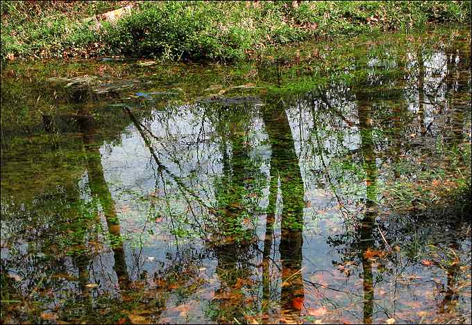 别因为鸟而错过一路风景