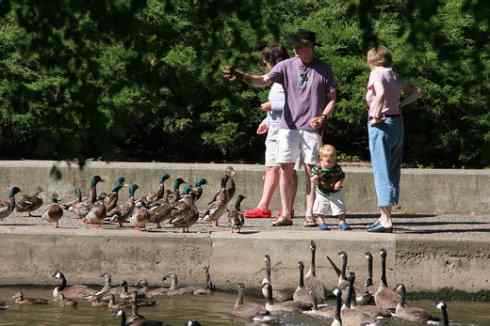 在美国拍了20多种鸟