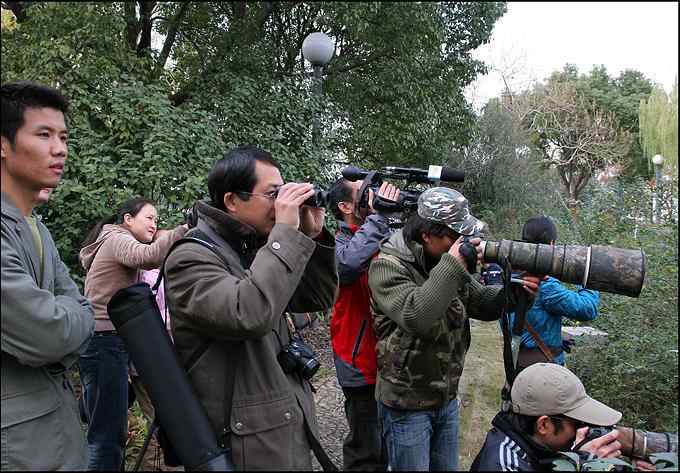 原来身边有这么多可爱的小精灵！