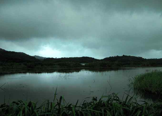 小小翠鸟,哥俩好,真可爱 小小翠鸟,哥俩好,真可爱