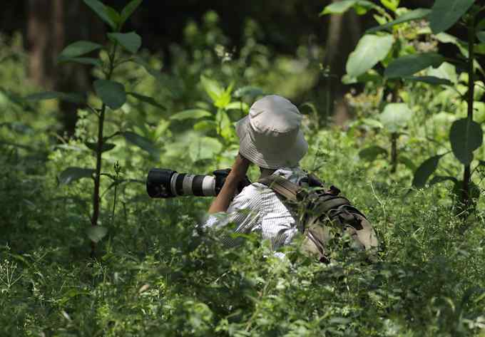 宁波大学拍鸟记 宁波大学拍鸟记