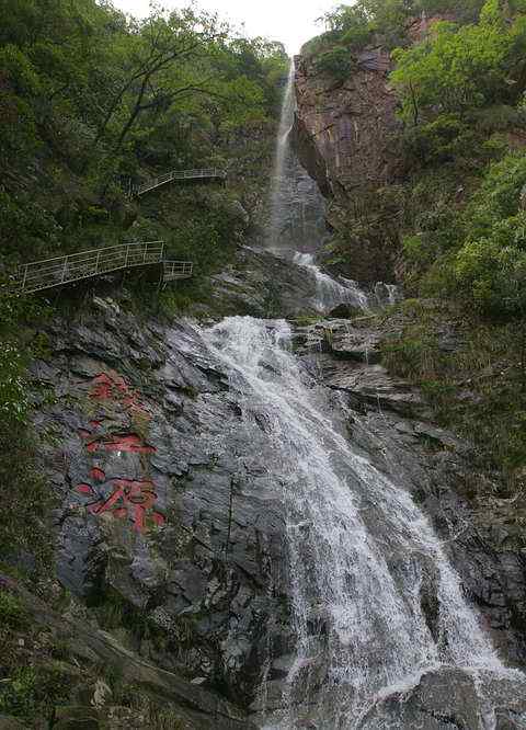 瀑布旁攀岩捉虫的小燕尾