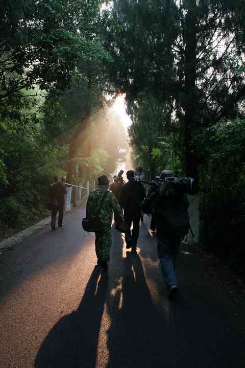 晨曦拍鸟去！