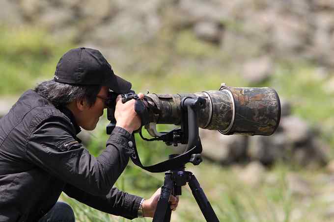 鸟人的江湖——鸟人大山雀的鸟世界