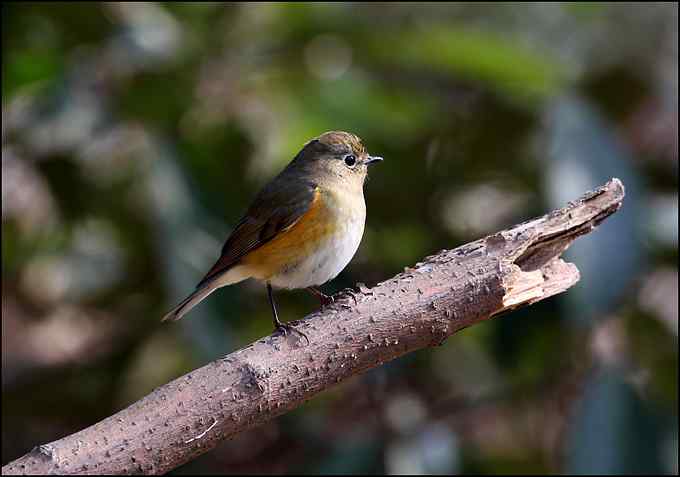 原来身边有这么多可爱的小精灵！