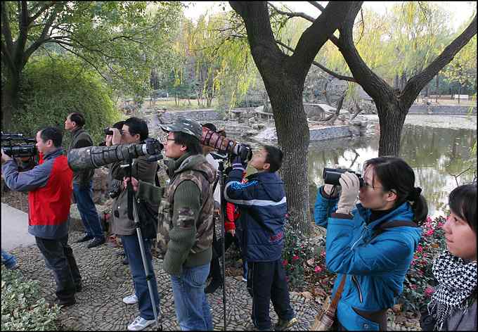 原来身边有这么多可爱的小精灵！