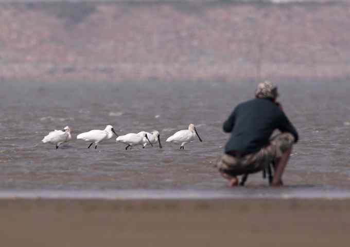 鸟人的江湖——鸟人大山雀的鸟世界
