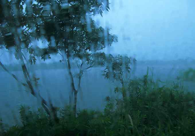 小小翠鸟,哥俩好,真可爱 小小翠鸟,哥俩好,真可爱