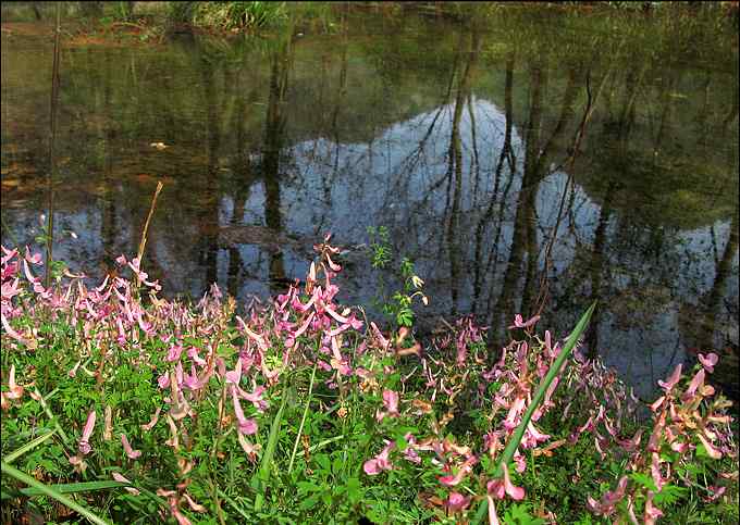 别因为鸟而错过一路风景