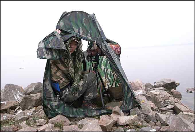 从老夫子到达人