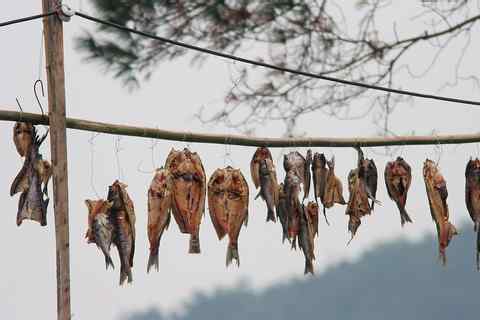 晒点咸鱼过年喽