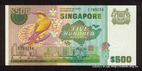 图说新加坡纸币:鸟币