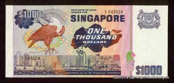图说新加坡纸币:鸟币