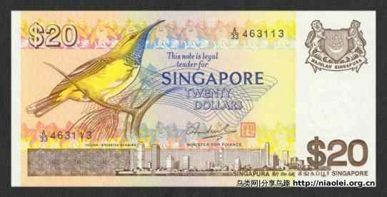 图说新加坡纸币:鸟币