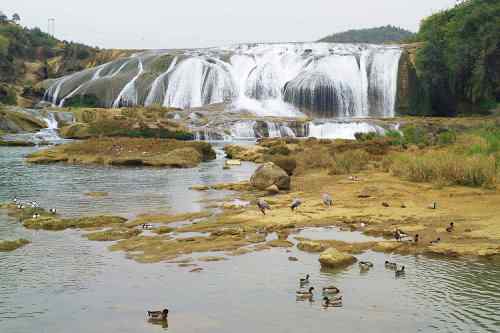 瀑布之下——春江水暖何止鸭先知